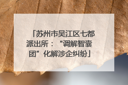 苏州市吴江区七都派出所：“调解智囊团”化解涉企纠纷