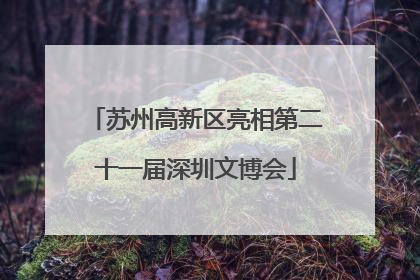 苏州高新区亮相第二十一届深圳文博会
