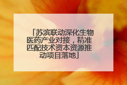 苏滨联动深化生物医药产业对接，精准匹配技术资本资源推动项目落地