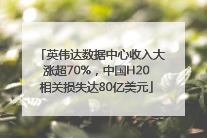 英伟达数据中心收入大涨超70%，中国H20相关损失达80亿美元