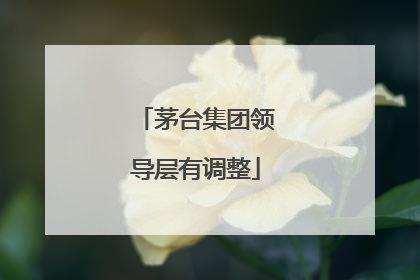 茅台集团领导层有调整
