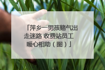 萍乡一男孩赌气出走迷路 收费站员工暖心相助（图）