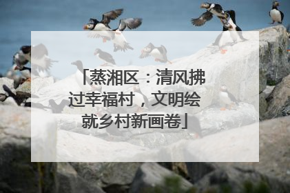 蒸湘区：清风拂过幸福村，文明绘就乡村新画卷
