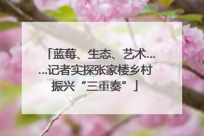 蓝莓、生态、艺术……记者实探张家楼乡村振兴“三重奏”