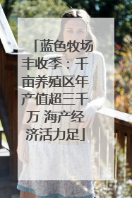 蓝色牧场丰收季：千亩养殖区年产值超三千万 海产经济活力足