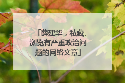 薛建华，私藏、浏览有严重政治问题的网络文章