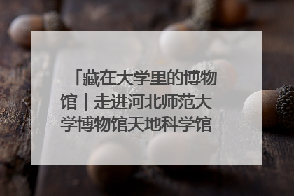 藏在大学里的博物馆｜走进河北师范大学博物馆天地科学馆：在校园里赴一场“宇宙之约”