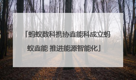 蚂蚁数科携协鑫能科成立蚂蚁鑫能 推进能源智能化