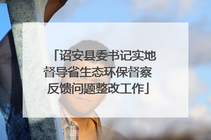 诏安县委书记实地督导省生态环保督察反馈问题整改工作