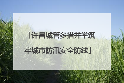 许昌城管多措并举筑牢城市防汛安全防线