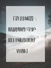 许昌城管：精耕细作守护夏日城市美好容颜