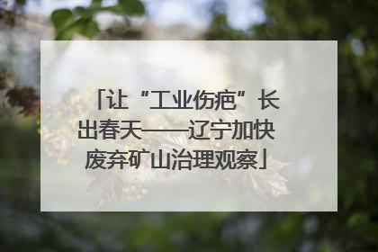 让“工业伤疤”长出春天——辽宁加快废弃矿山治理观察