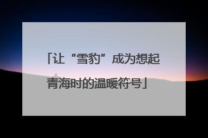 让“雪豹”成为想起青海时的温暖符号