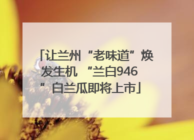 让兰州“老味道”焕发生机 “兰白946”白兰瓜即将上市