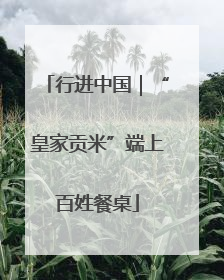 行进中国｜“皇家贡米”端上百姓餐桌