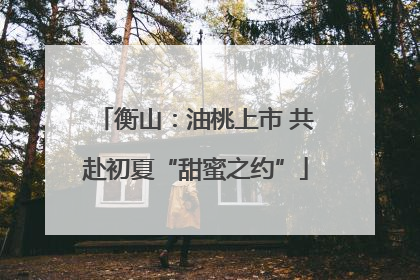 衡山：油桃上市 共赴初夏“甜蜜之约”