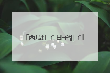 西瓜红了 日子甜了