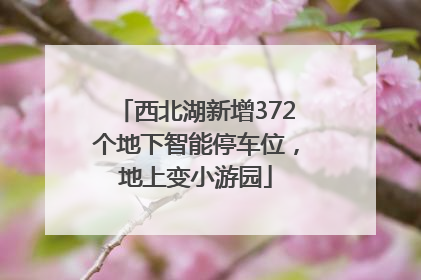 西北湖新增372个地下智能停车位，地上变小游园