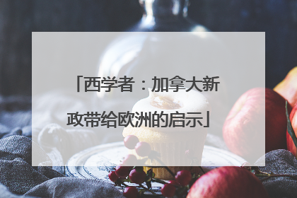 西学者：加拿大新政带给欧洲的启示