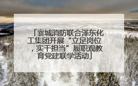 襄城消防联合泽东化工集团开展“立足岗位，实干担当”履职观教育党建联学活动