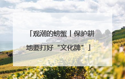 观潮的螃蟹丨保护耕地要打好“文化牌”