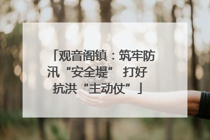 观音阁镇：筑牢防汛“安全堤” 打好抗洪“主动仗”