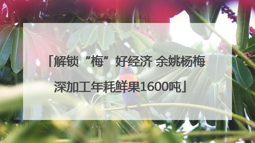 解锁“梅”好经济 余姚杨梅深加工年耗鲜果1600吨