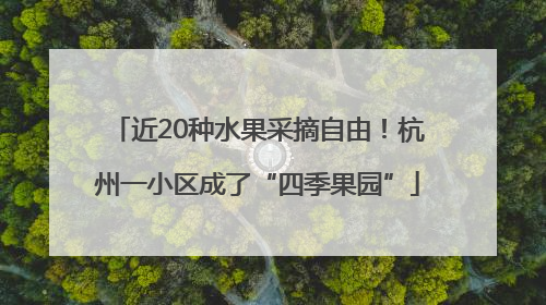 近20种水果采摘自由！杭州一小区成了“四季果园”