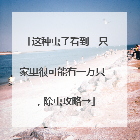 这种虫子看到一只家里很可能有一万只，除虫攻略→