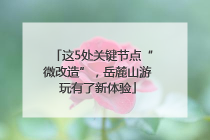 这5处关键节点“微改造”，岳麓山游玩有了新体验