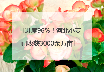 进度96%！河北小麦已收获3000余万亩