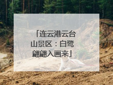 连云港云台山景区：白鹭翩翩入画来