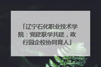 辽宁石化职业技术学院：党建联学共建，政行园企校协同育人