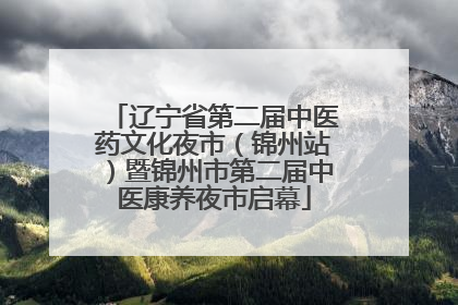 辽宁省第二届中医药文化夜市（锦州站）暨锦州市第二届中医康养夜市启幕