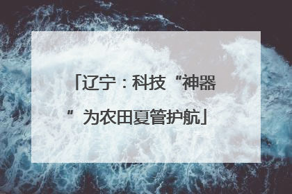 辽宁：科技“神器”为农田夏管护航