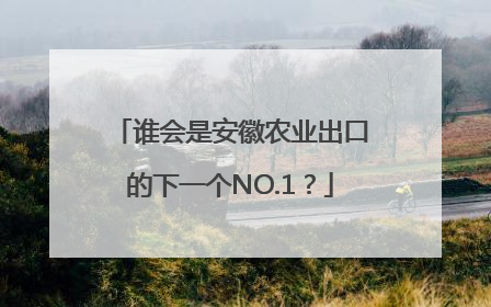 谁会是安徽农业出口的下一个NO.1？
