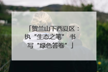 贺兰山下西夏区：执“生态之笔” 书写“绿色答卷”