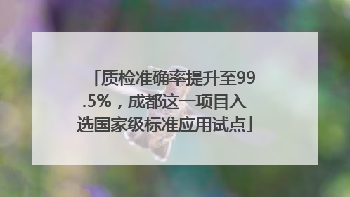 质检准确率提升至99.5%，成都这一项目入选国家级标准应用试点
