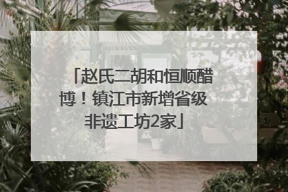 赵氏二胡和恒顺醋博！镇江市新增省级非遗工坊2家