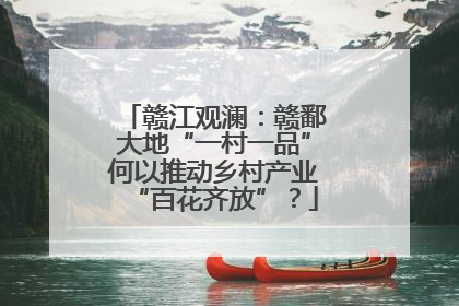 赣江观澜：赣鄱大地“一村一品”何以推动乡村产业“百花齐放”？