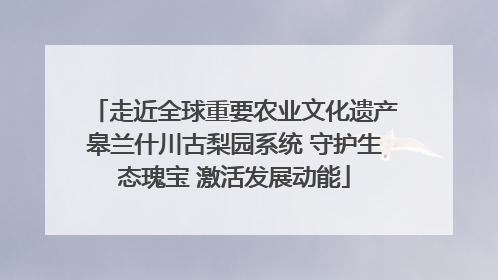 走近全球重要农业文化遗产皋兰什川古梨园系统 守护生态瑰宝 激活发展动能