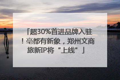 超30%首进品牌入驻！亳都有新象，郑州文商旅新IP将“上线”