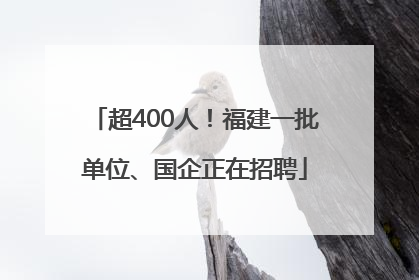 超400人！福建一批单位、国企正在招聘