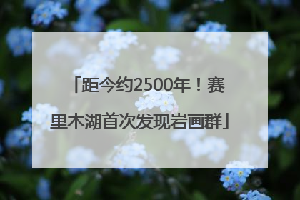 距今约2500年！赛里木湖首次发现岩画群