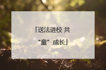 送法进校 共“童”成长