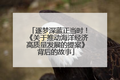 逐梦深蓝正当时！《关于推动海洋经济高质量发展的提案》背后的故事
