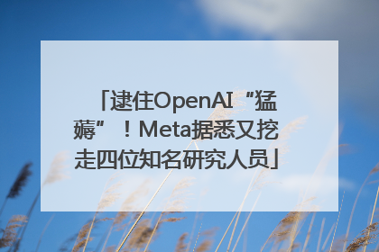 逮住OpenAI“猛薅”！Meta据悉又挖走四位知名研究人员