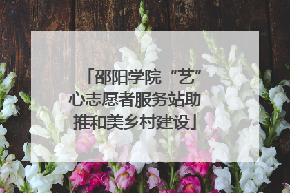邵阳学院“艺”心志愿者服务站助推和美乡村建设