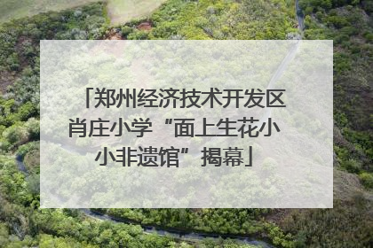 郑州经济技术开发区肖庄小学“面上生花小小非遗馆”揭幕