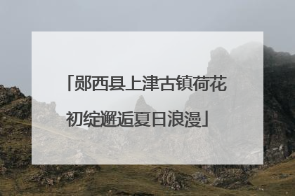郧西县上津古镇荷花初绽邂逅夏日浪漫